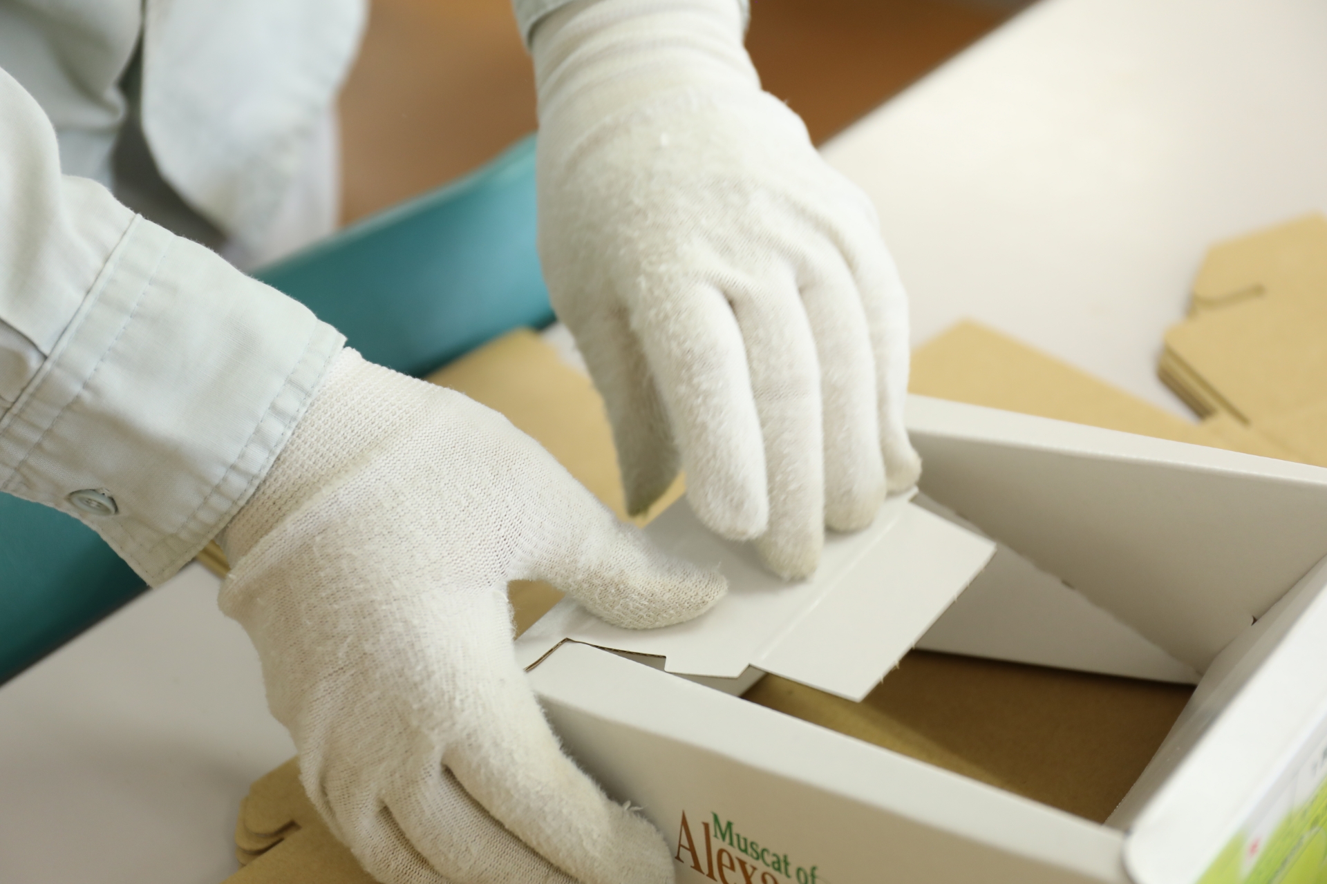 事業内容 下部コンテンツ 画像