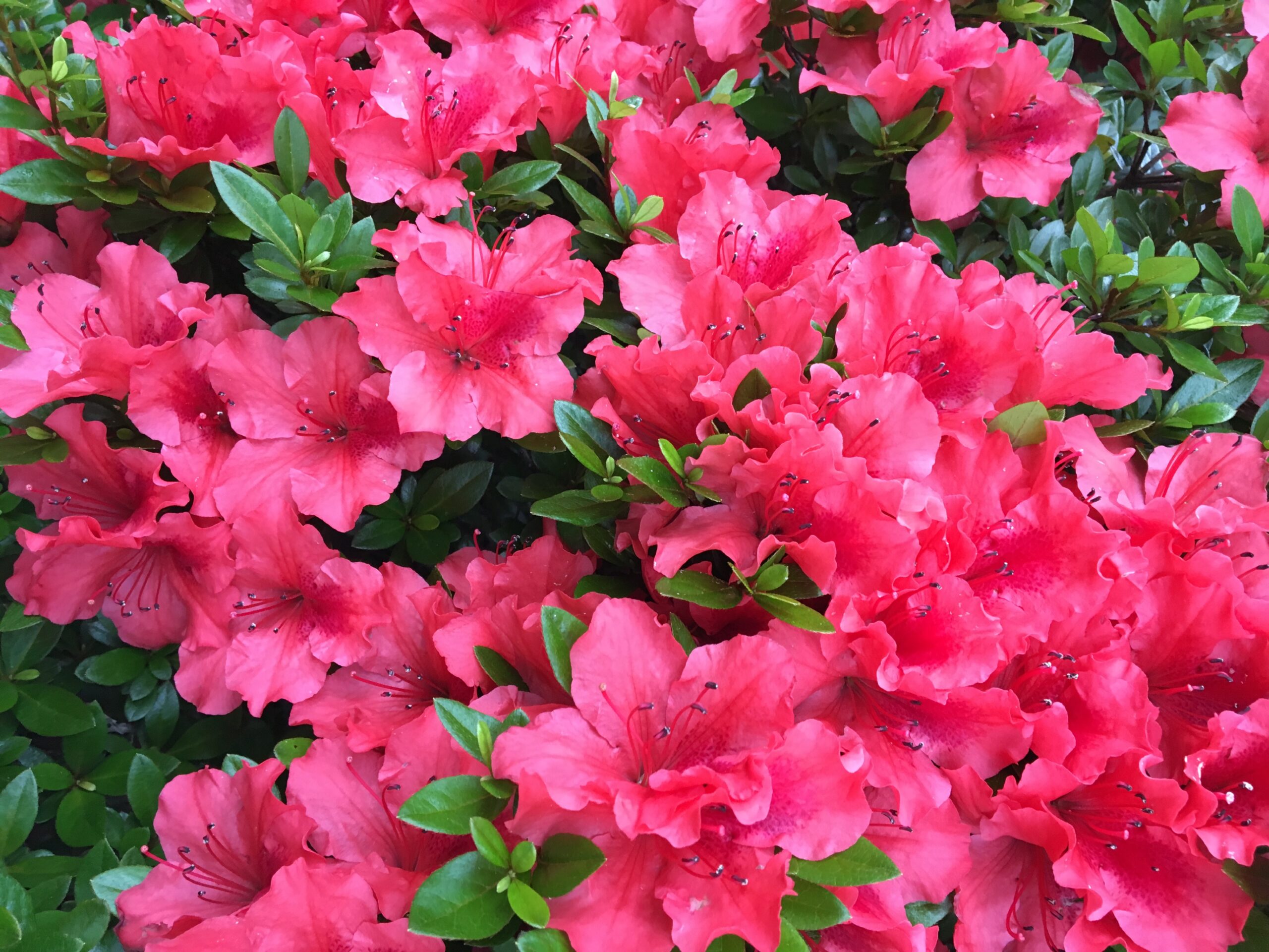 事業内容 下部コンテンツ 画像